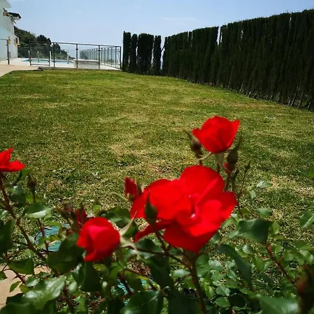 Dana I Eurogolf, Vistas, Wifi, Piscina Y Parking Apartament Benalmádena